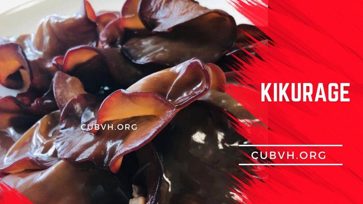 Kikurage: A Versatile and Flavorful Ingredient for Asian Cuisine