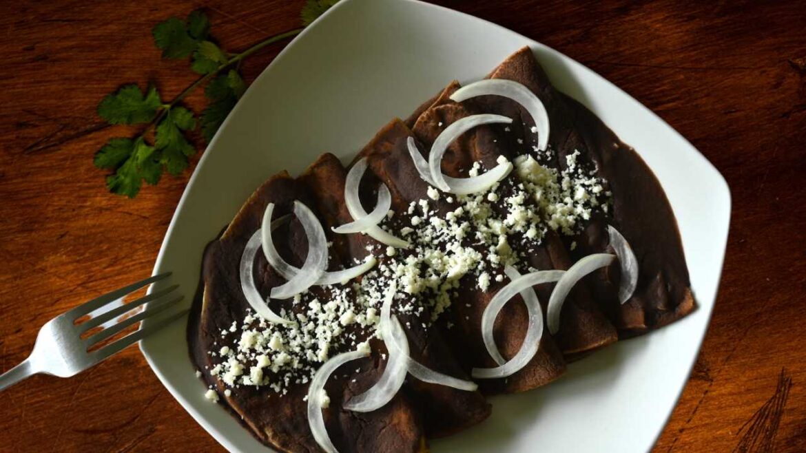 Enfrijoladas A Traditional Mexican Delight