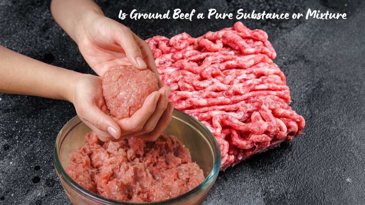 Is Ground Beef a Pure Substance or Mixture Understanding the Science Behind It